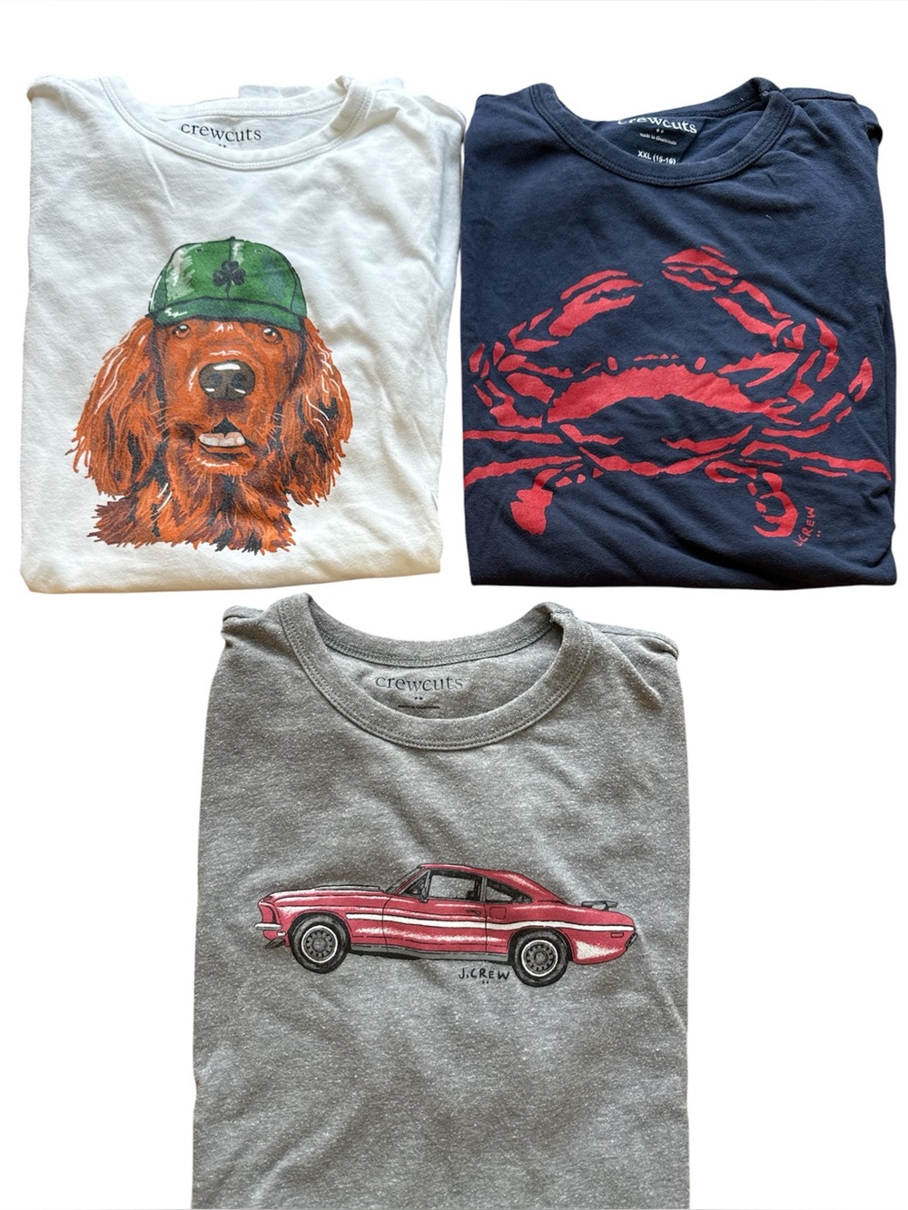 Crewcuts Boys Tees Size XXL (15-16)